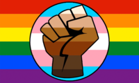 LGBT Gay Trans Pride BLM Fist Flag thumbnail