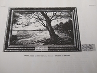 Reproduction - &quot;Le déraciné&quot; thumbnail