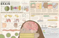 Visual Media: Covid and the Brain  thumbnail