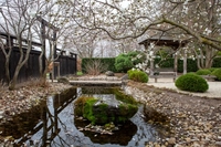 Japanese Garden - 5 thumbnail