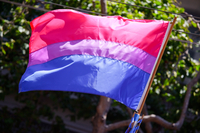 Bisexual Pride Flag thumbnail