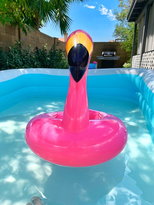A pink flamingo inflatable floats in a backyard inflatable pool. Behind the pool in the backyard, bushes and a BBQ can be seen. To the left the tops of trees can be seen and the blue sky is in the background.
