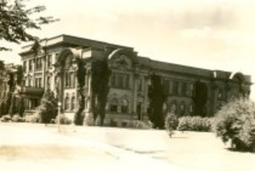 Seppia photograph of the MacDonald Institute from 1929. Vines can be seen climbing up some sides of the building and there are several trees in front.