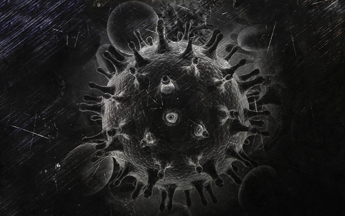Digital black and white image of the HIV/AIDS virus. The virus is spherical with points small branches extending from all sides.