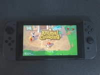 Animal Crossing on the Nintendo Switch thumbnail