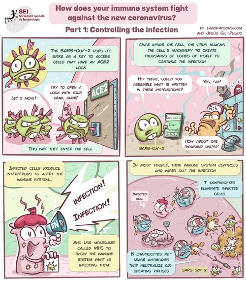 white blood cells fighting infection cartoon