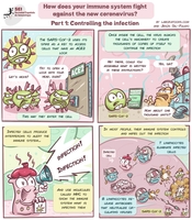 How Does Your Immune System Fight Against Coronavirus? A Comic thumbnail