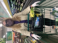 Grocery Get-up thumbnail