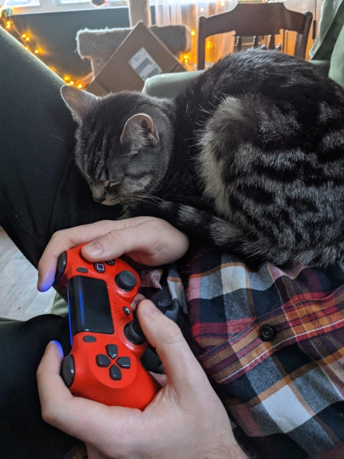 A photograph of the contributor holding a video game controller while their cat takes a nap in their arms. The controller is red, and is emitting a blue light. The cat, Juno, is curled up and asleep. She is small, and is light grey with dark grey stripes. The image highlights that spending time with pets and play video games were common coping strategies for those living in lockdown or experiencing quarantine.