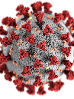 A coronavirus cell under an electron microscope. A circular grey mass with some small orange and yellow dots on the surface, surrounded by red triangles.