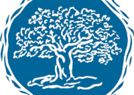 Orlando Project oak tree logo